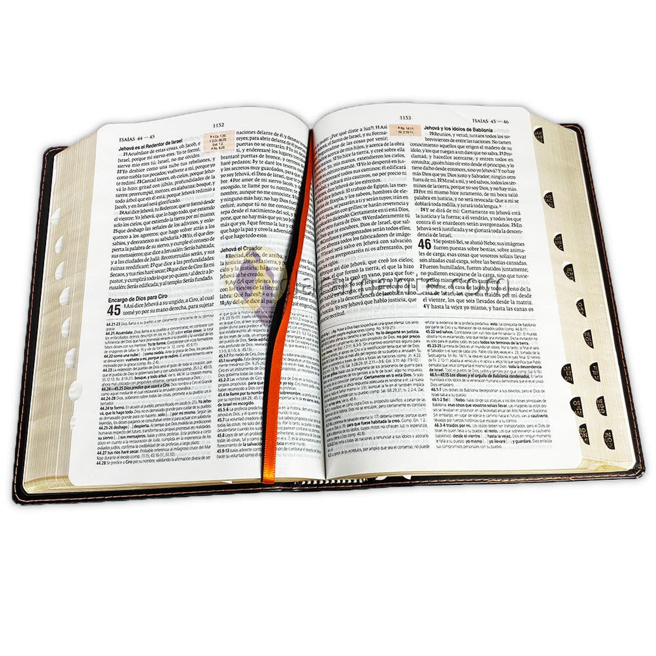 Theological Study Bible: RV1960, imitation leather, black with index