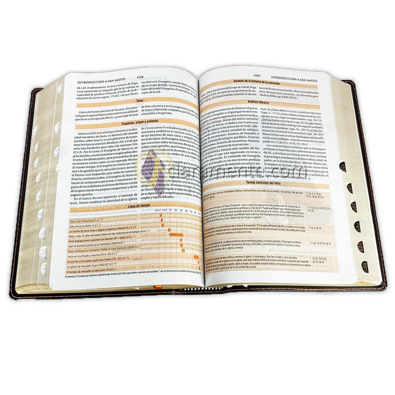 Theological Study Bible: RV1960, imitation leather, black with index