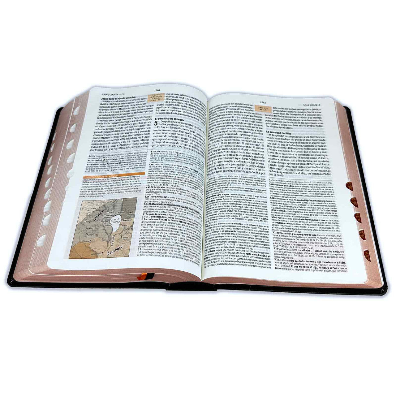 Biblia de Estudio Teológico RV1960: tapa dura negro con índice