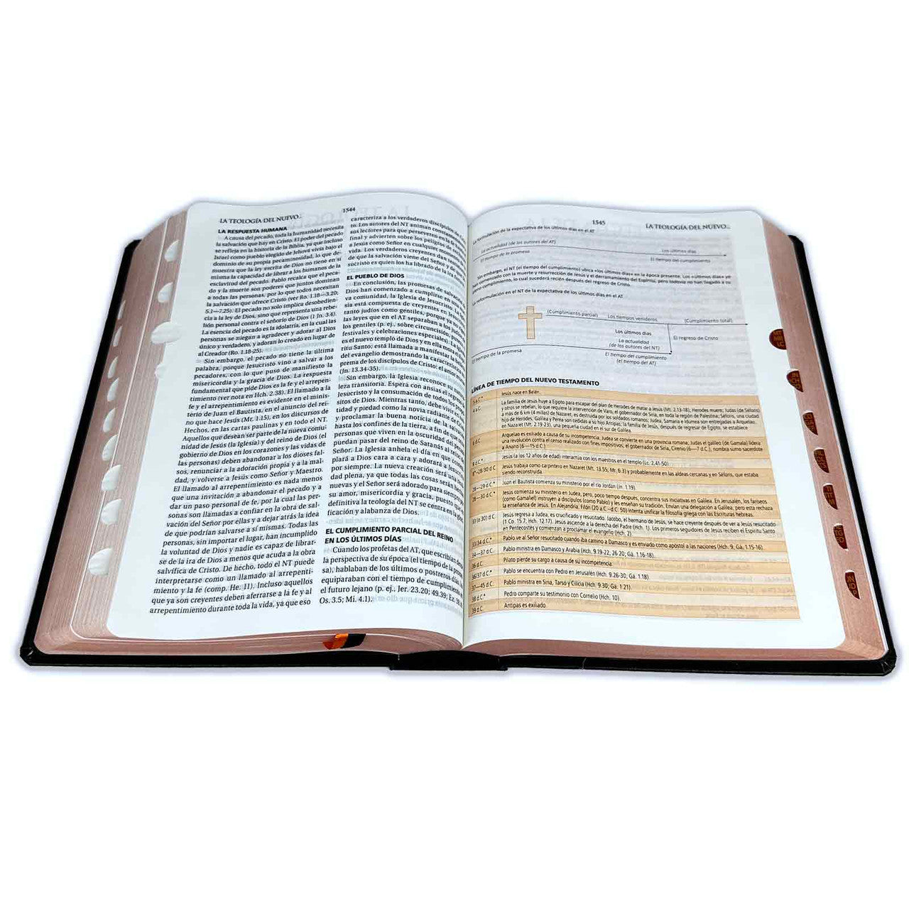 Biblia de Estudio Teológico RV1960: tapa dura negro con índice