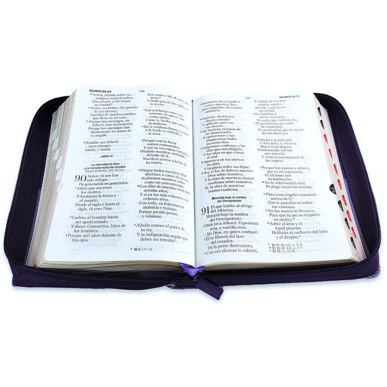 Compact 11-point Zipper Bible RV1960 imitation bifloral lilac with index