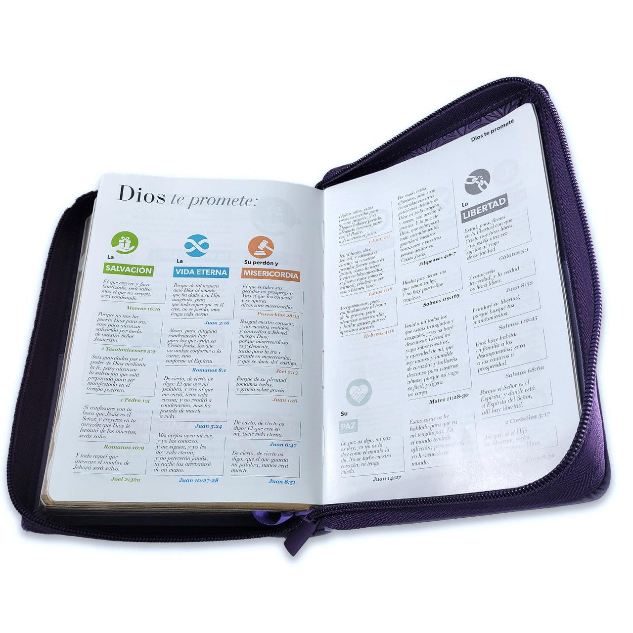 Compact 11-point Zipper Bible RV1960 imitation bifloral lilac with index