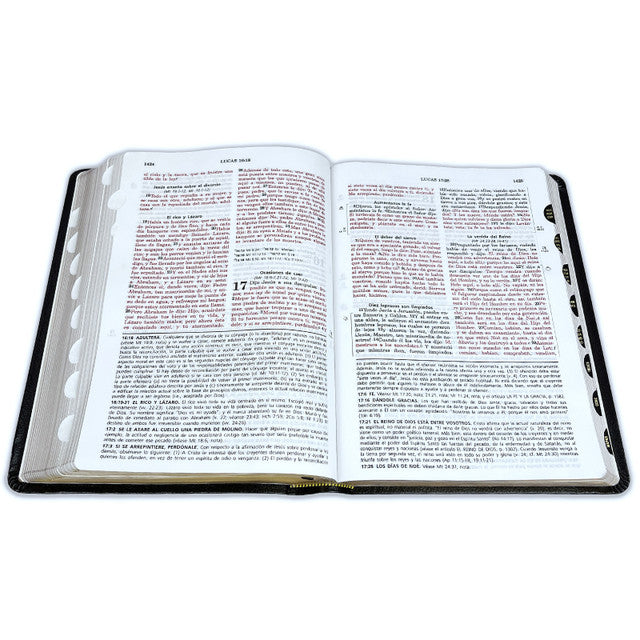 Full Life Study Bible RV1960, special leather, black with index