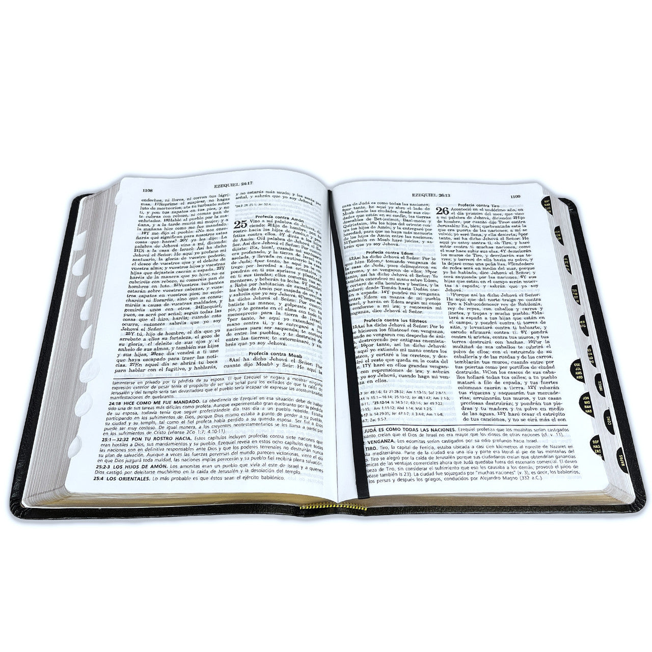 Full Life Study Bible RV1960, special leather, black with index