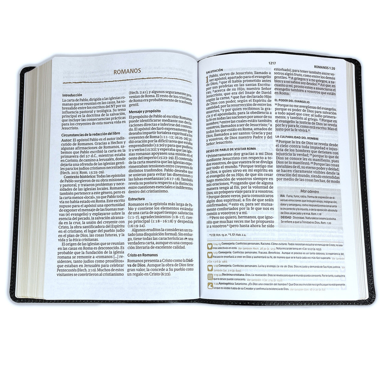 Biblia del Pescador de Liderazgo Letra Grande RV1960, piel fabricada negra