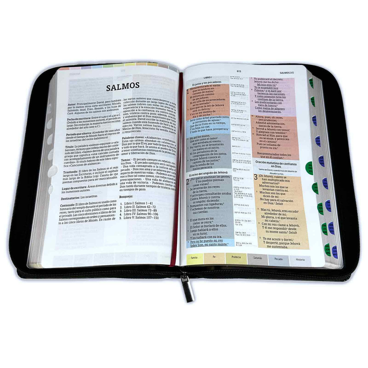 Rainbow Study Bible with RV1960 Closure imitation black leather with index - It will never leave your mouth