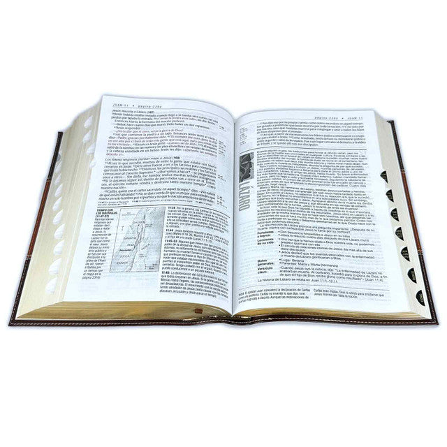 Living Daily Study Bible Large Print New Living Translation NLT - brown felt leather with index