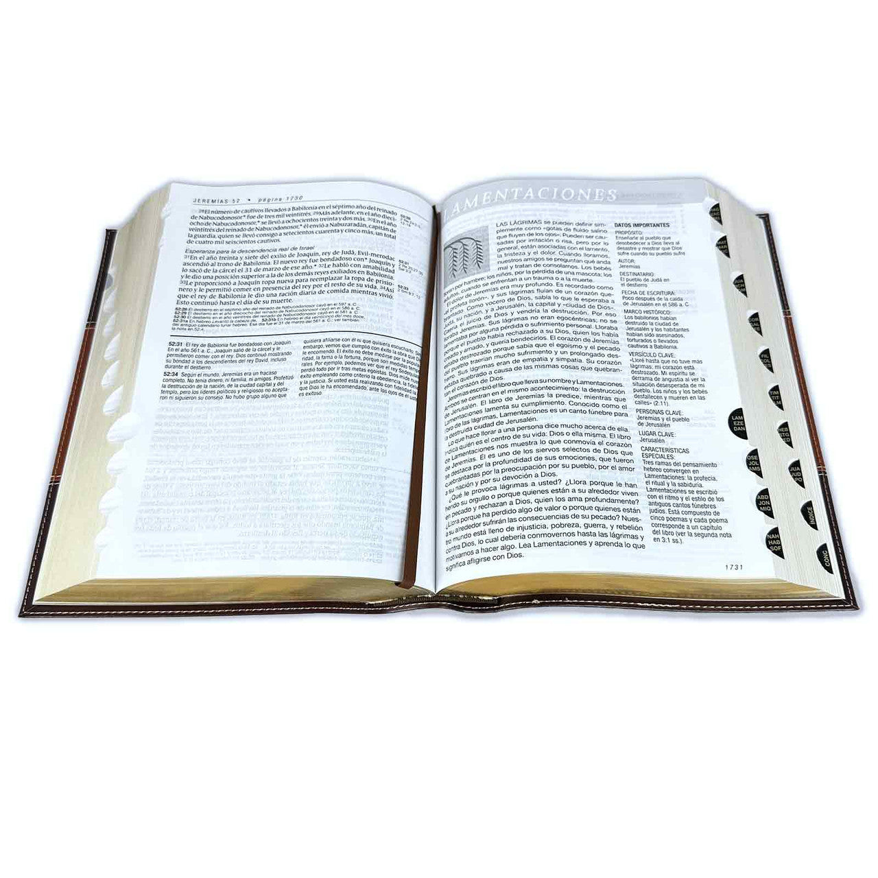 Living Daily Study Bible Large Print New Living Translation NLT - brown felt leather with index