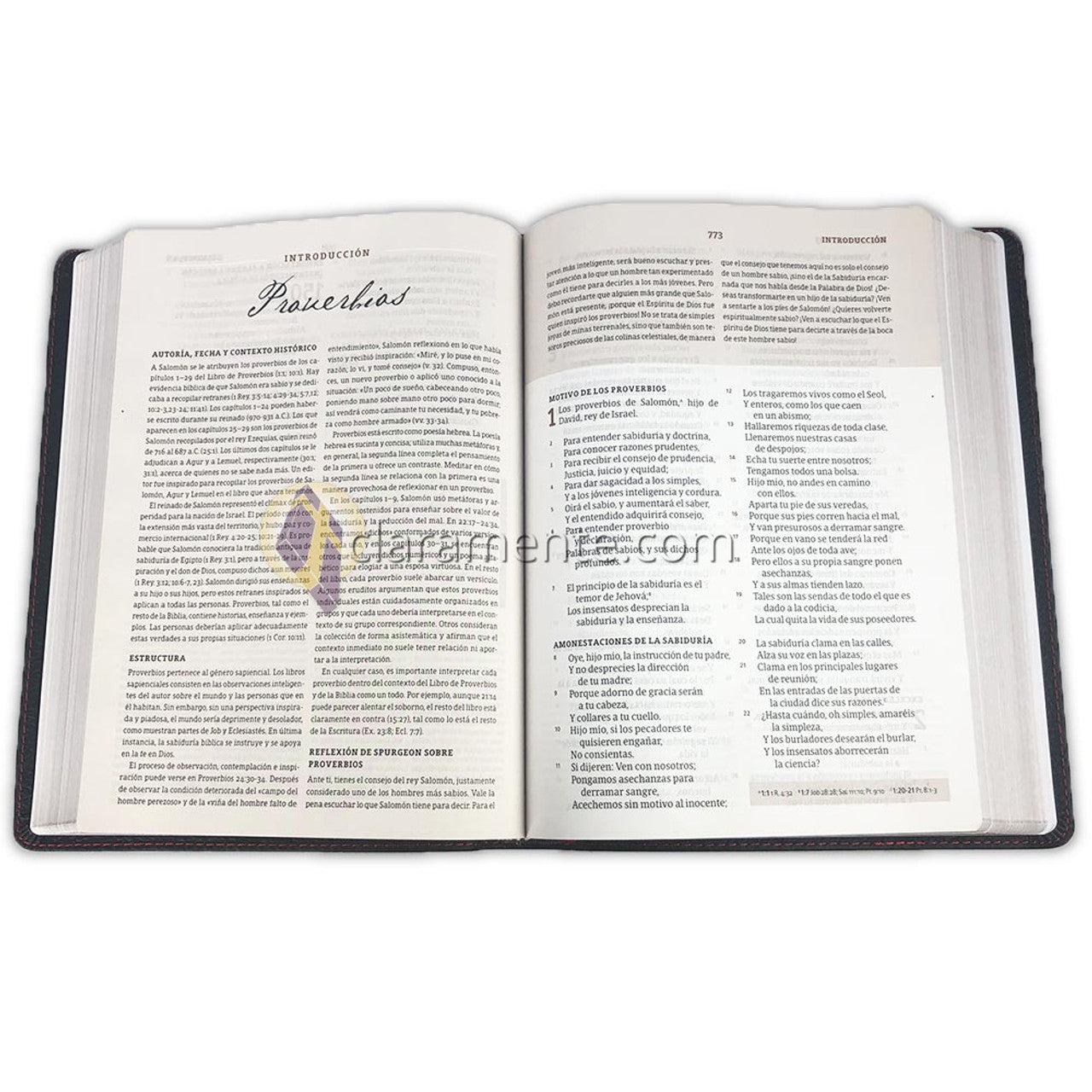 Spurgeon Large Print Study Bible: RV1960 - black genuine leather with silver edges