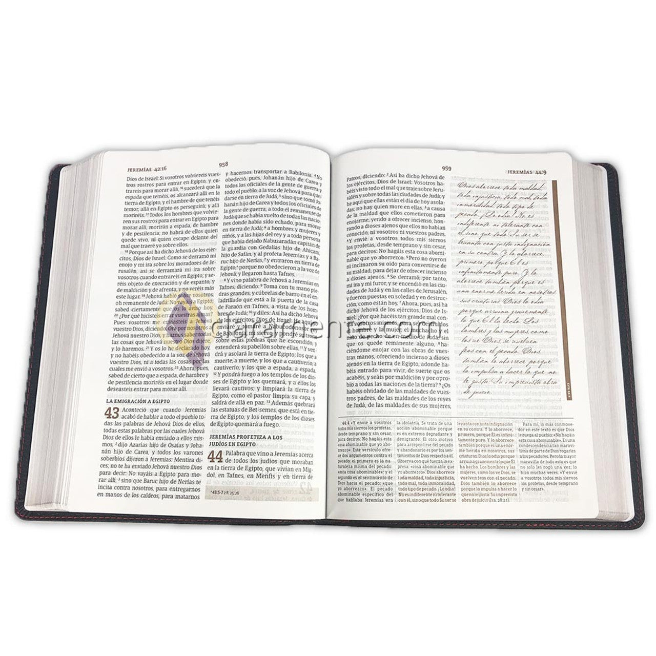 Spurgeon Large Print Study Bible: RV1960 - black genuine leather with silver edges