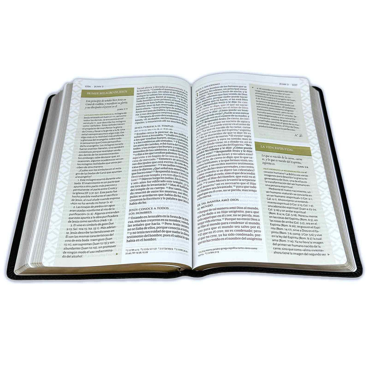 Large Print Thematic Study Bible RV1960 imitation black leather
