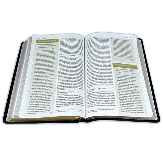 Large Print Thematic Study Bible RV1960 imitation black leather
