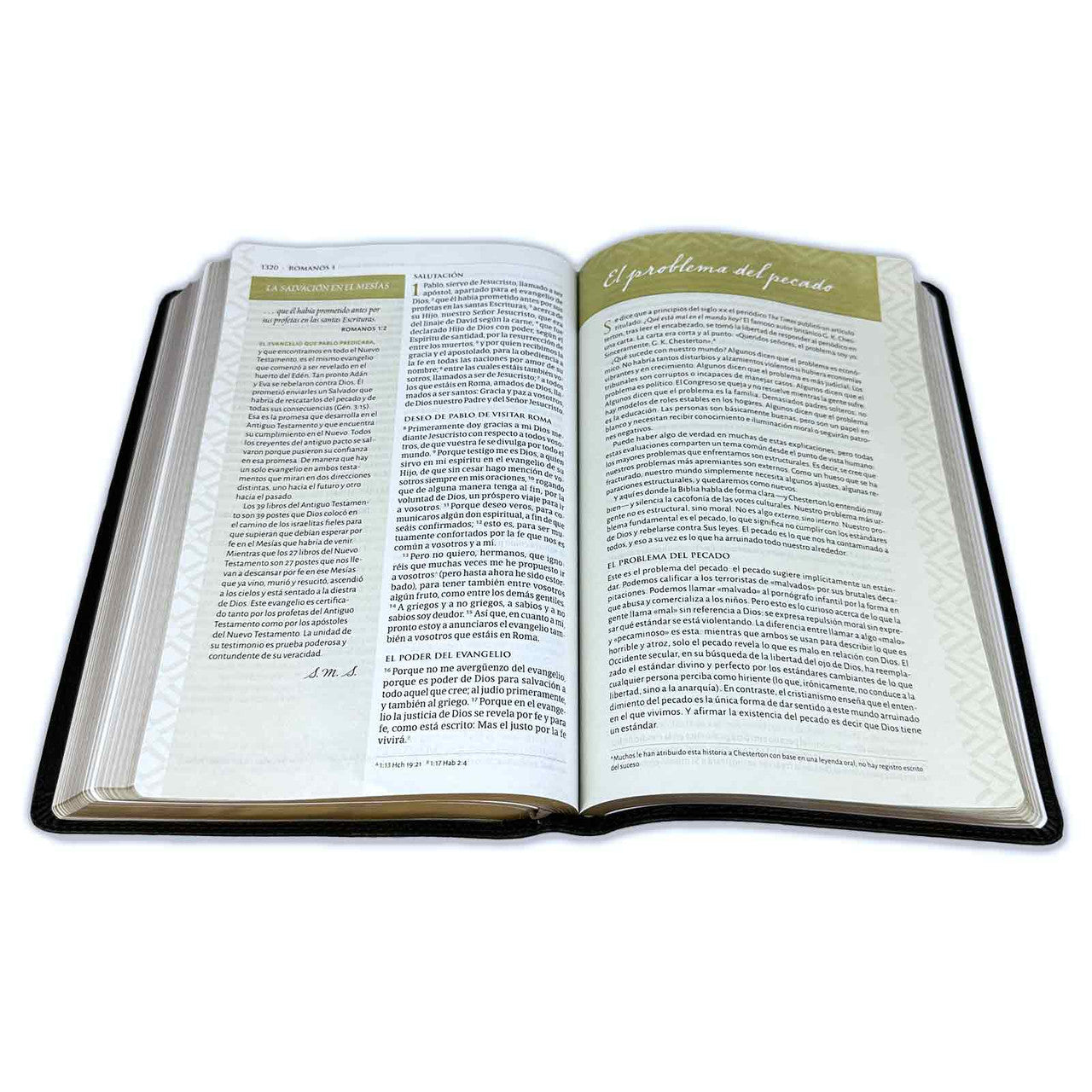 Large Print Thematic Study Bible RV1960 imitation black leather