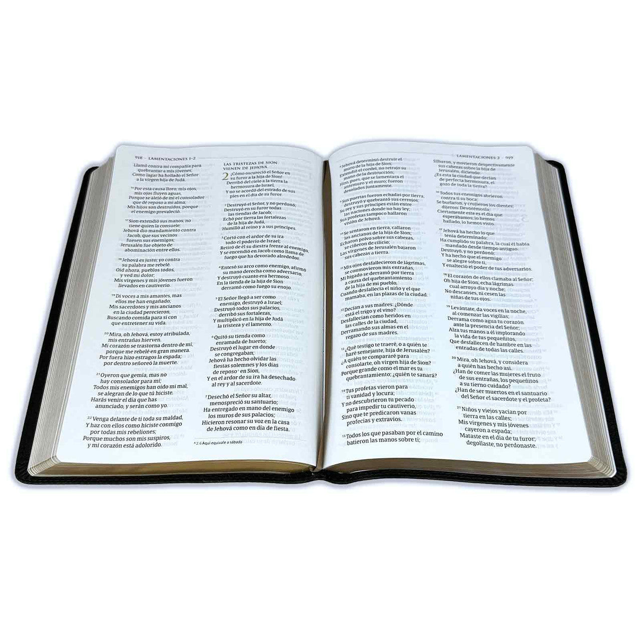 Large Print Thematic Study Bible RV1960 imitation black leather