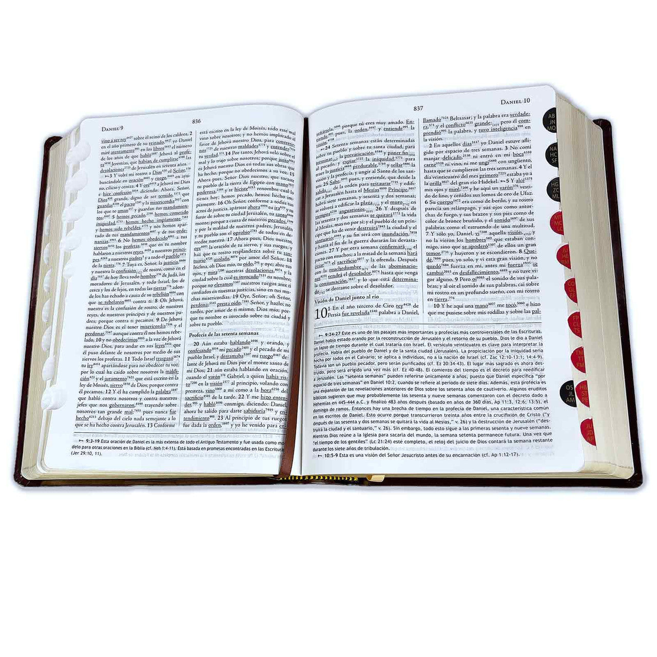 Keyword Study Bible RV1960, with Strong's dictionary in Hebrew and Greek, imitation. leather, wine and brown with index