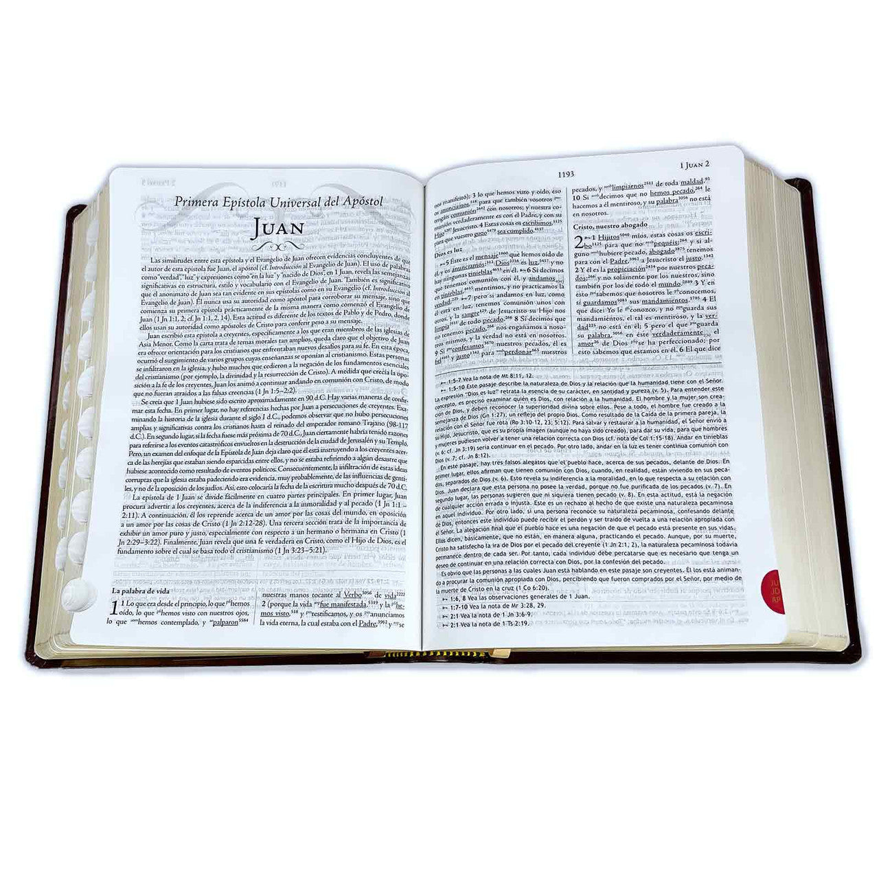 Keyword Study Bible RV1960, with Strong's dictionary in Hebrew and Greek, imitation. leather, wine and brown with index