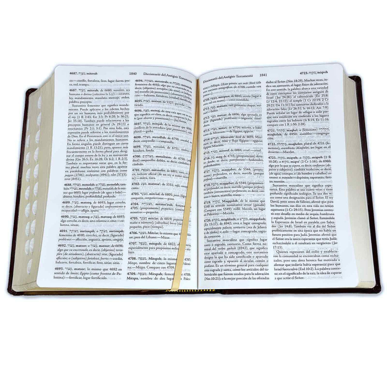 Keyword Study Bible RV1960, with Strong's dictionary in Hebrew and Greek, imitation. leather, wine and brown with index