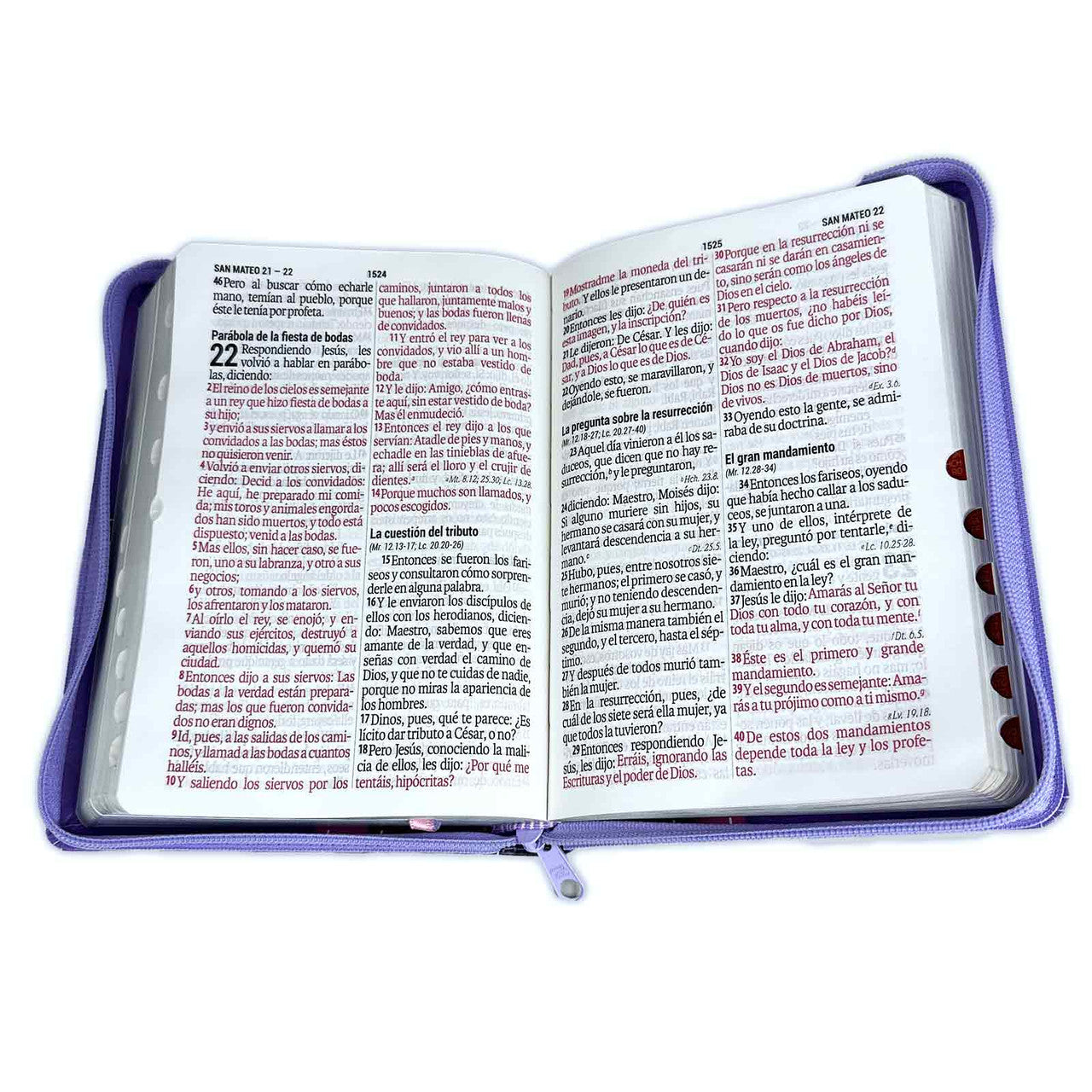 Manual Giant Letter Bible with RV1960 Closure: imitation. lilac leather with index