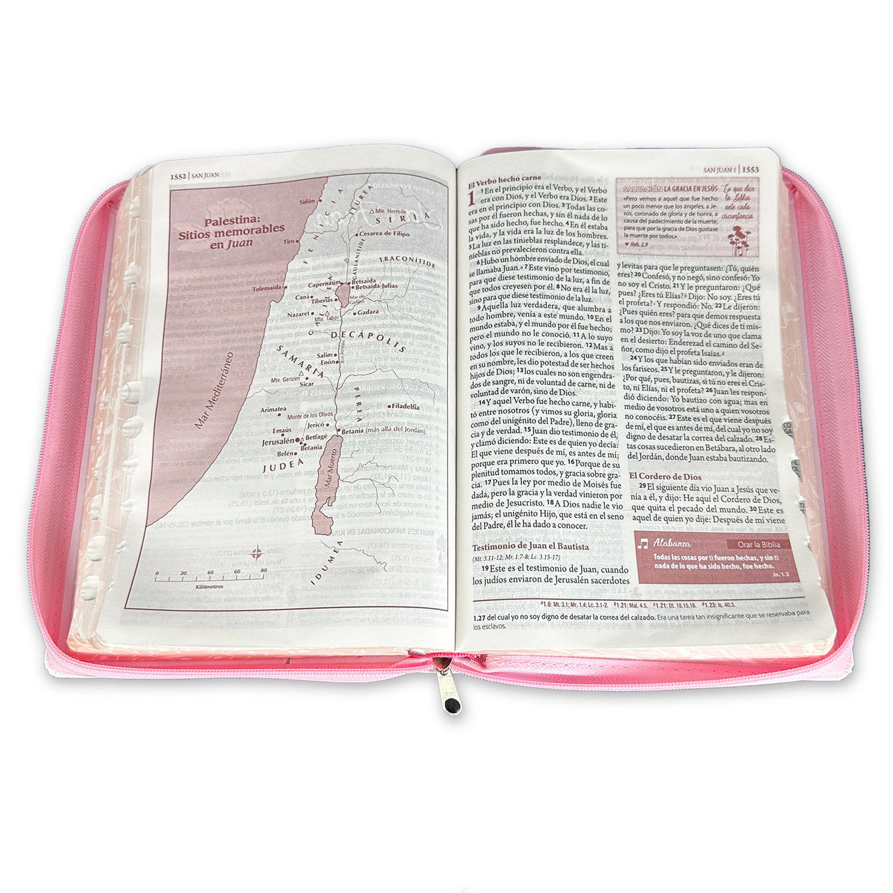 Ser Mujer Study Bible with Large Print Closure RV1960, imitation leather pink floral and tulips with index