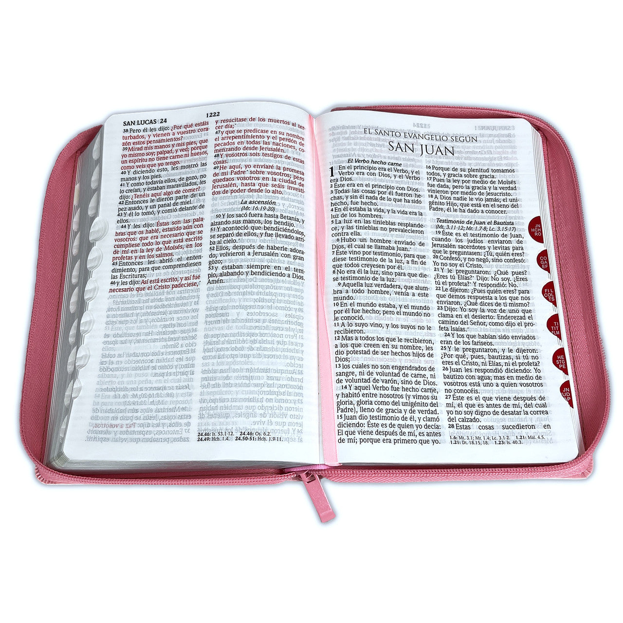 Large Letter Bible with RV1960 Closure, imitation. light pink skin with index finger - Lamp is at my feet