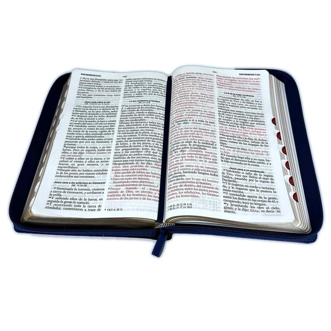 Bible with Large Print Closure 12 points RV1960 imitation. purple and black with index