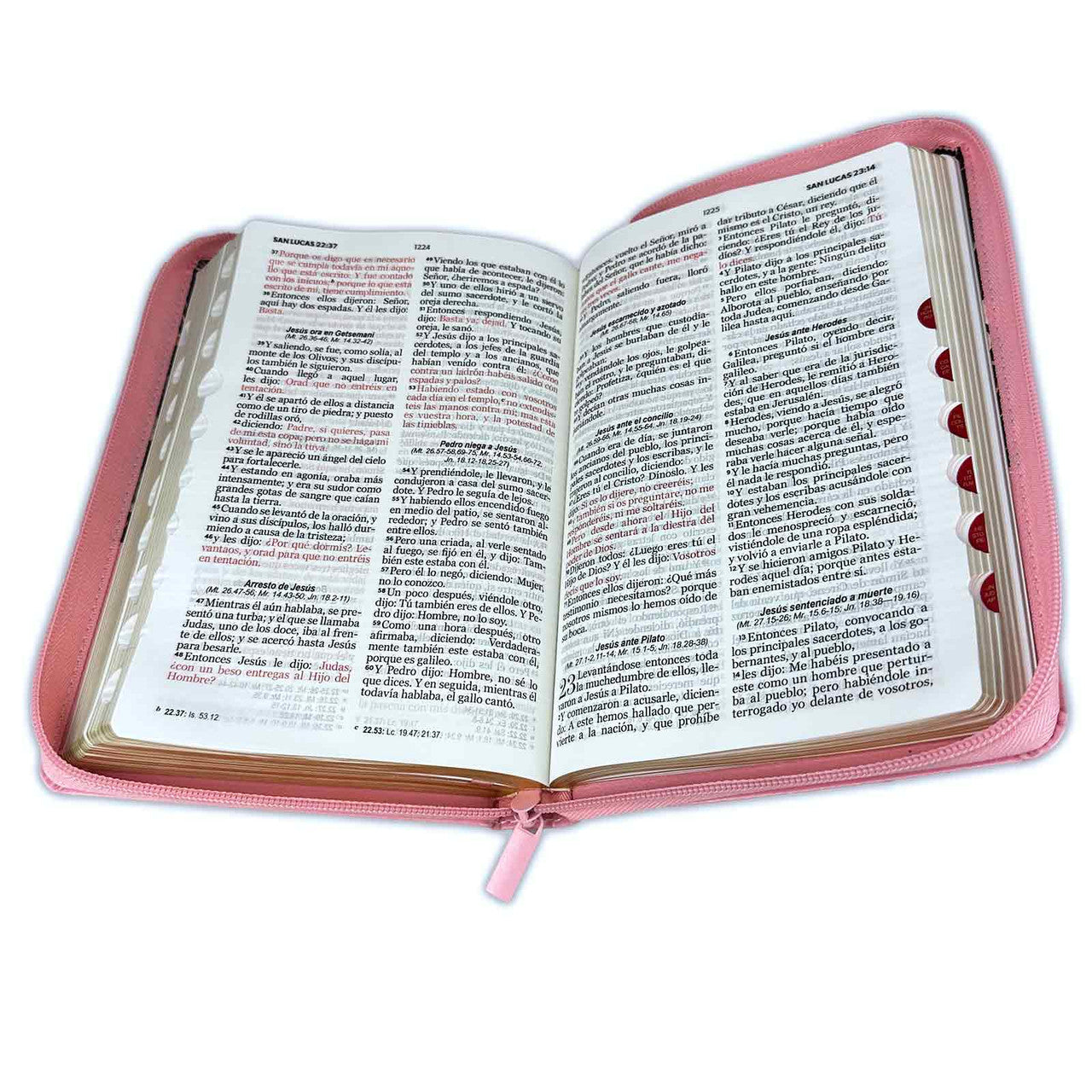 Bible with Large Print Closure 12 points RV1960 imitation. floral with index - Virtuous Woman