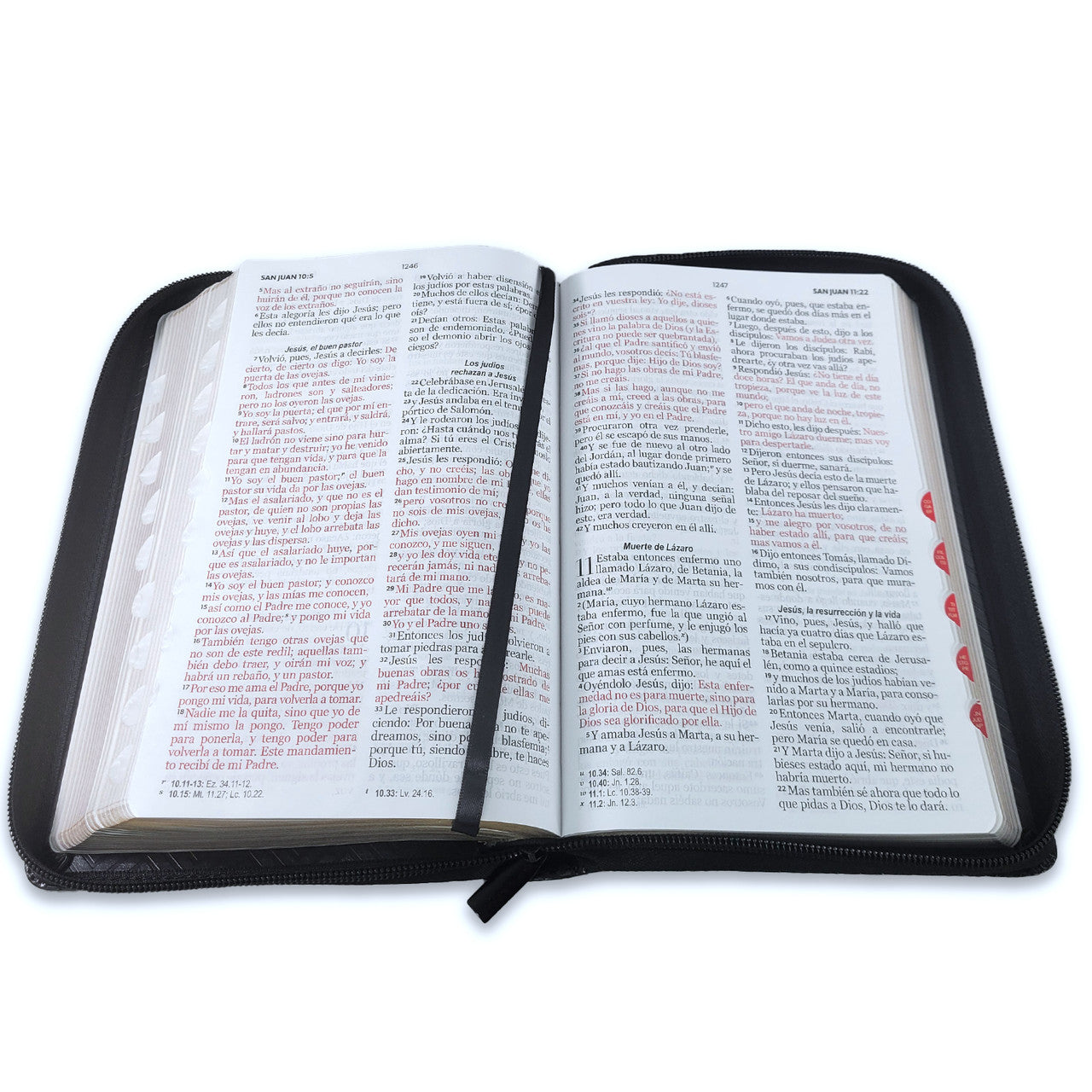Large Print 12 point Zipper Bible RV1960 imitation black with index