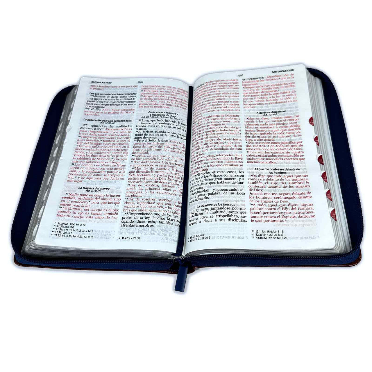 Large Print 12 Point Zipper Bible RV1960 Imitation Brown and Blue with Index - Examine Me, O God