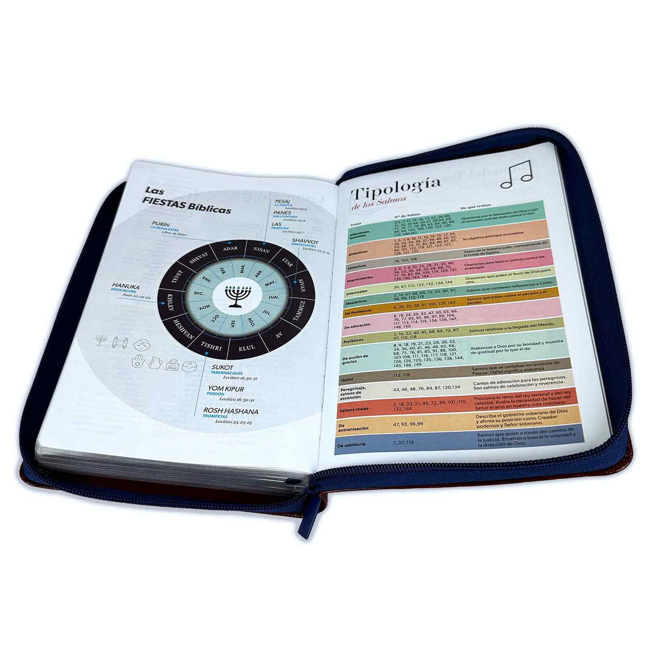 Large Print 12 Point Zipper Bible RV1960 Imitation Brown and Blue with Index - Examine Me, O God