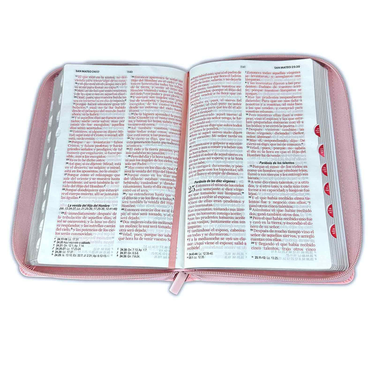 Bible with Large Print Closure 12 points RV1960 imitation. pink with birds with index