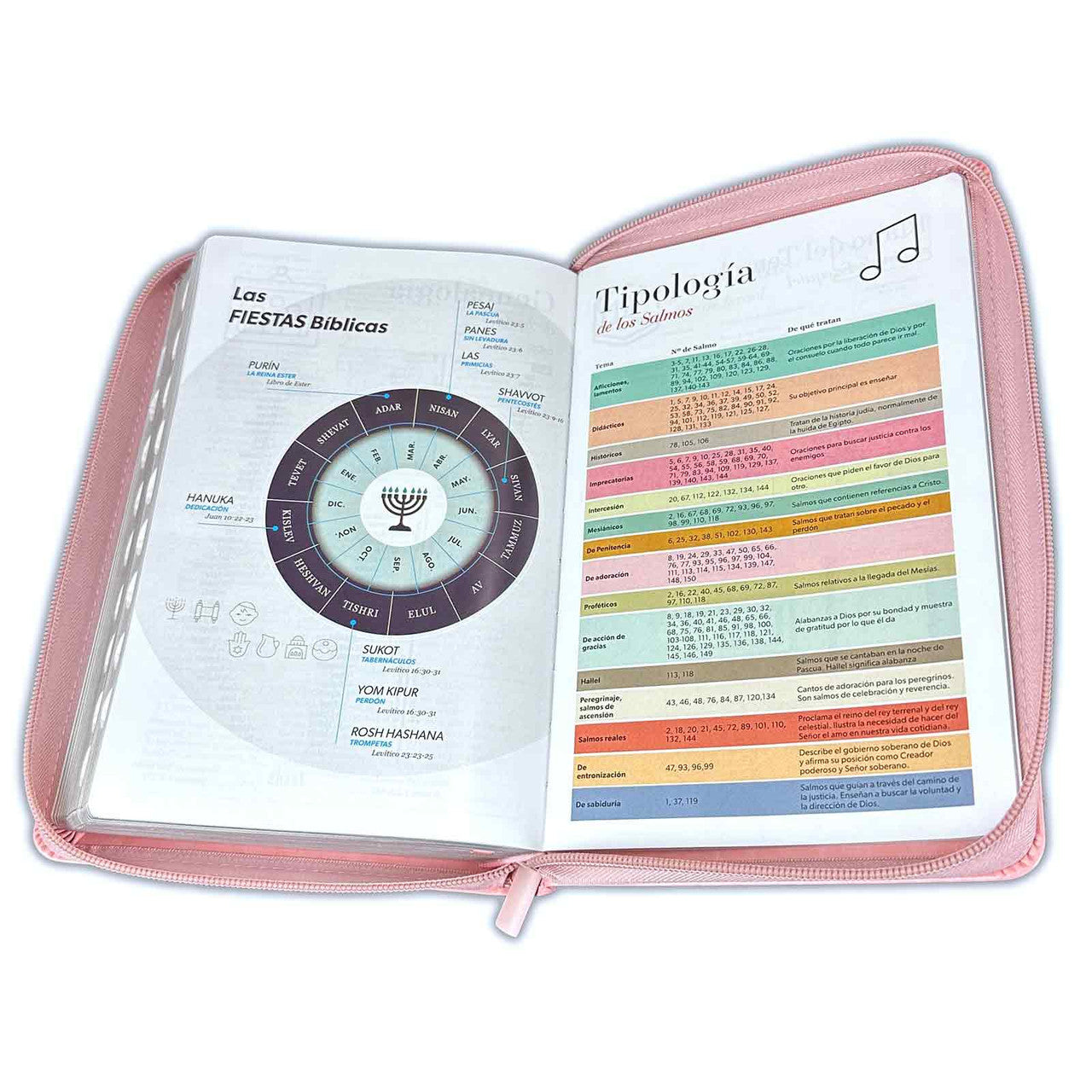 Bible with Large Print Closure 12 points RV1960 imitation. pink and brown with index - I can do all things through Christ