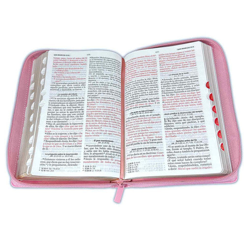 Bible with Large Print Closure 12 points RV1960 imitation. pink skin and butterflies with index