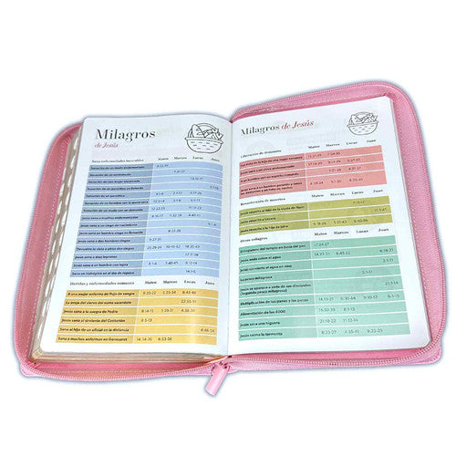 Bible with Large Print Closure 12 points RV1960 imitation. pink skin and butterflies with index