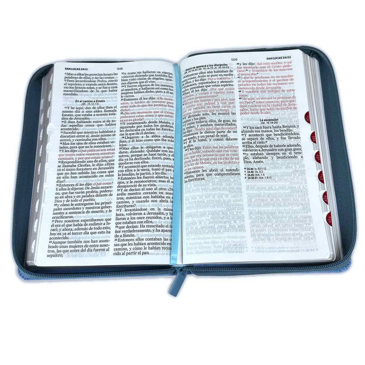 Bible with Large Print Closure 12 points RV1960 imitation. light blue duotone with index