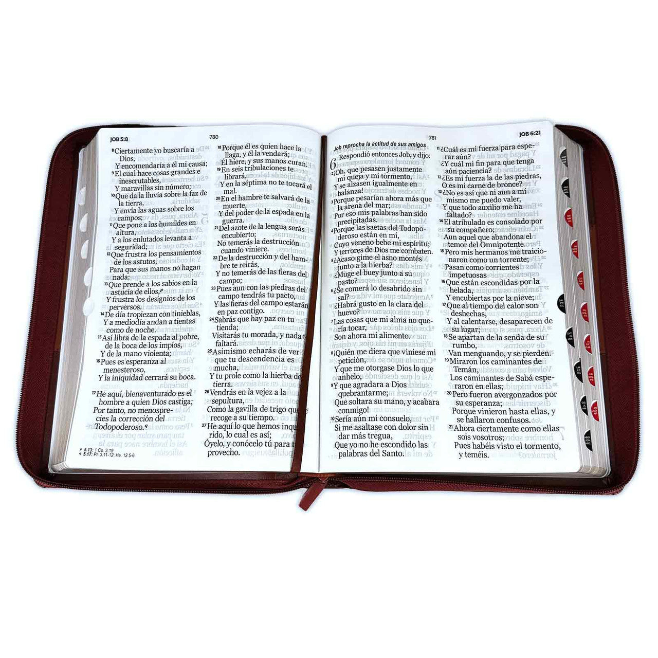 Bible with Super Giant Letter Closure 19 points RV1960 imitation brown duotone leather with index