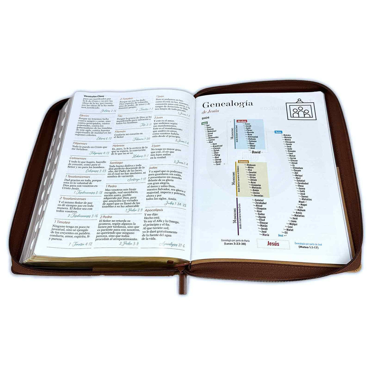 Bible with Closure Super Giant Letter 19 points RV1960 duotone brown with index