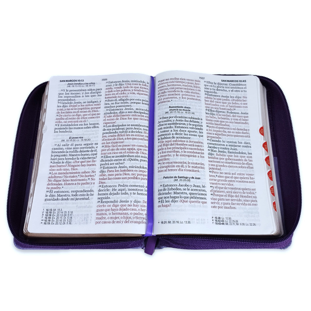 Compact 11-point Zipper Bible RV1960 imitation bifloral lilac with index