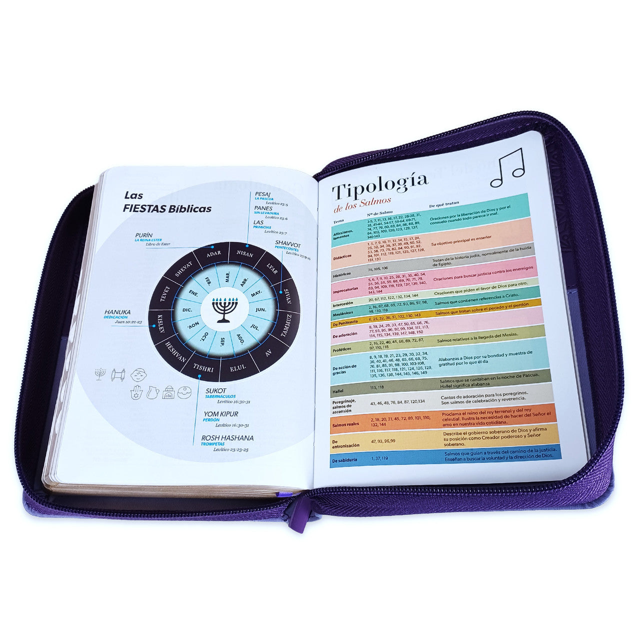 Compact 11-point Zipper Bible RV1960 imitation bifloral lilac with index