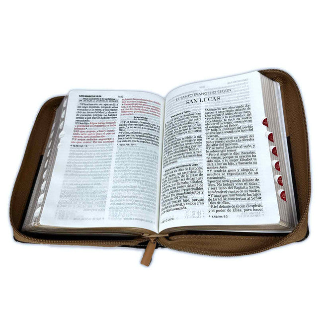 Eagle Bible with Compact Closure 11 points RV1960 imitation brown with index - But those who wait for Jehovah