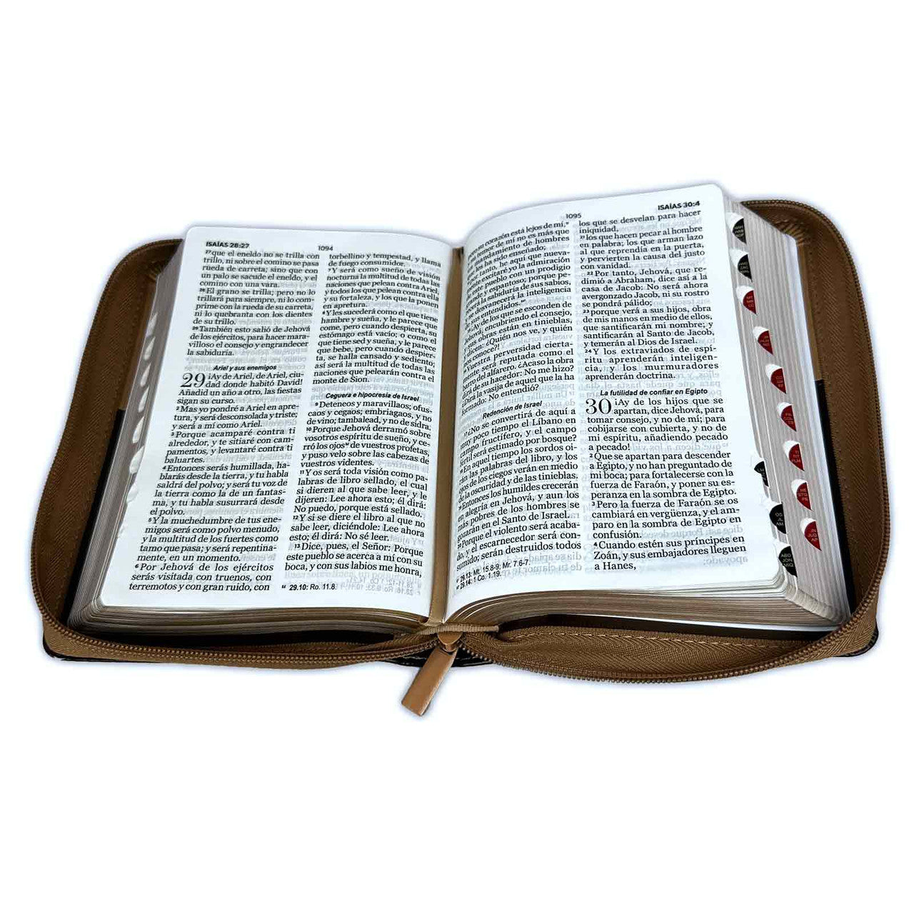 Eagle Bible with Compact Closure 11 points RV1960 imitation brown with index - But those who wait for Jehovah