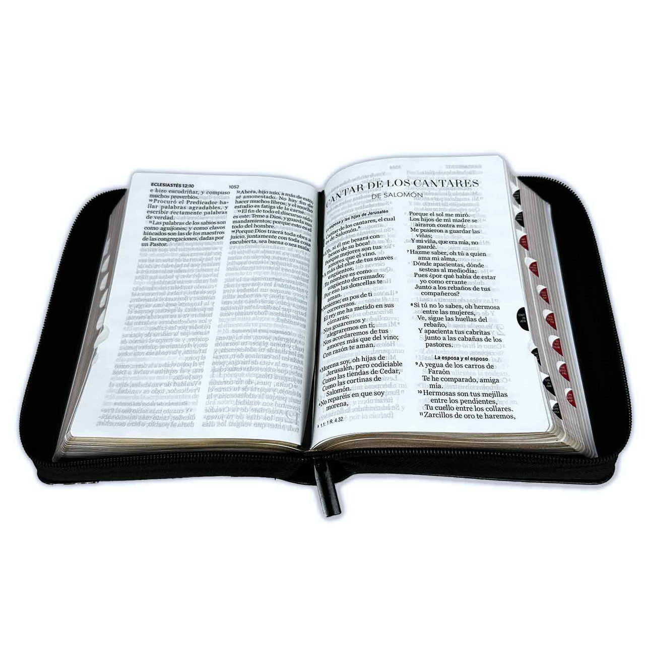 Bible Sword with Compact Closure 11 points RV1960 imitation gray and black with index - Hebrews 4:12