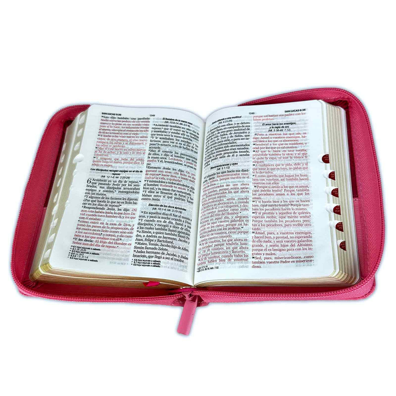 Pocket Bible with Closure RV1960 imitation pink and fuchsia bifloral leather with index