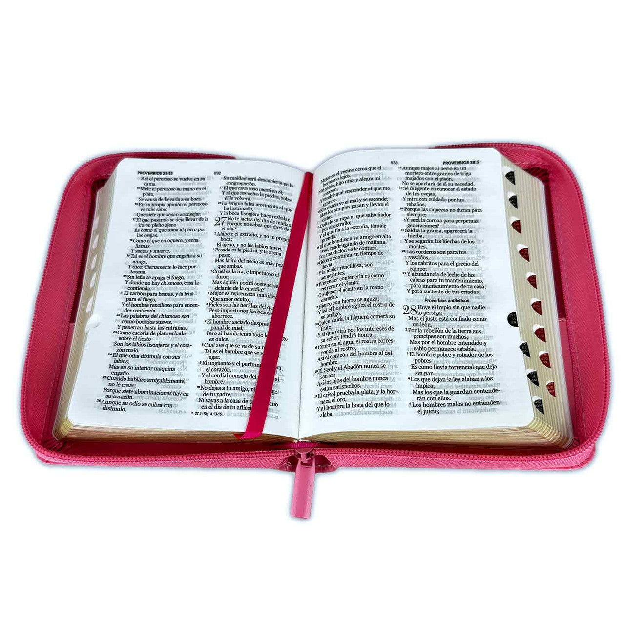 Pocket Bible with Closure RV1960 imitation pink and fuchsia bifloral leather with index