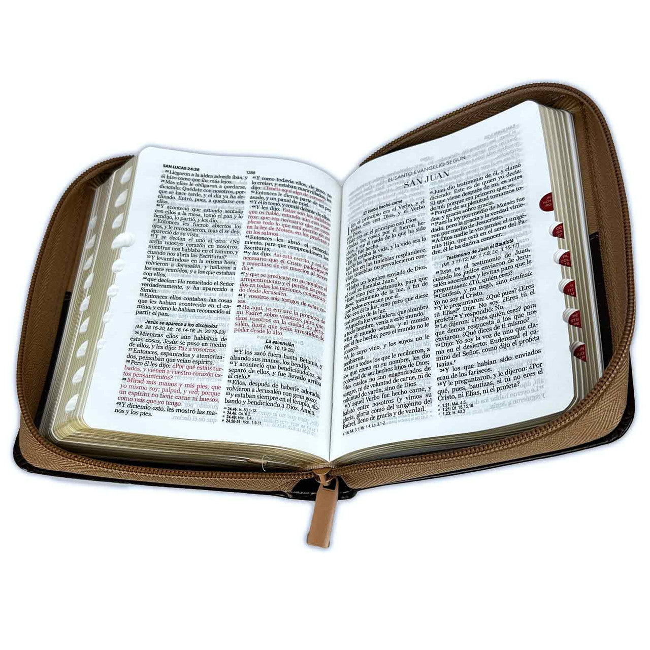 Eagle Pocket Bible with Closure RV1960 imitation brown with index - But those who wait for Jehovah