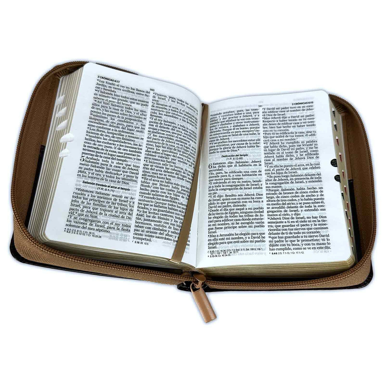 Eagle Pocket Bible with Closure RV1960 imitation brown with index - But those who wait for Jehovah