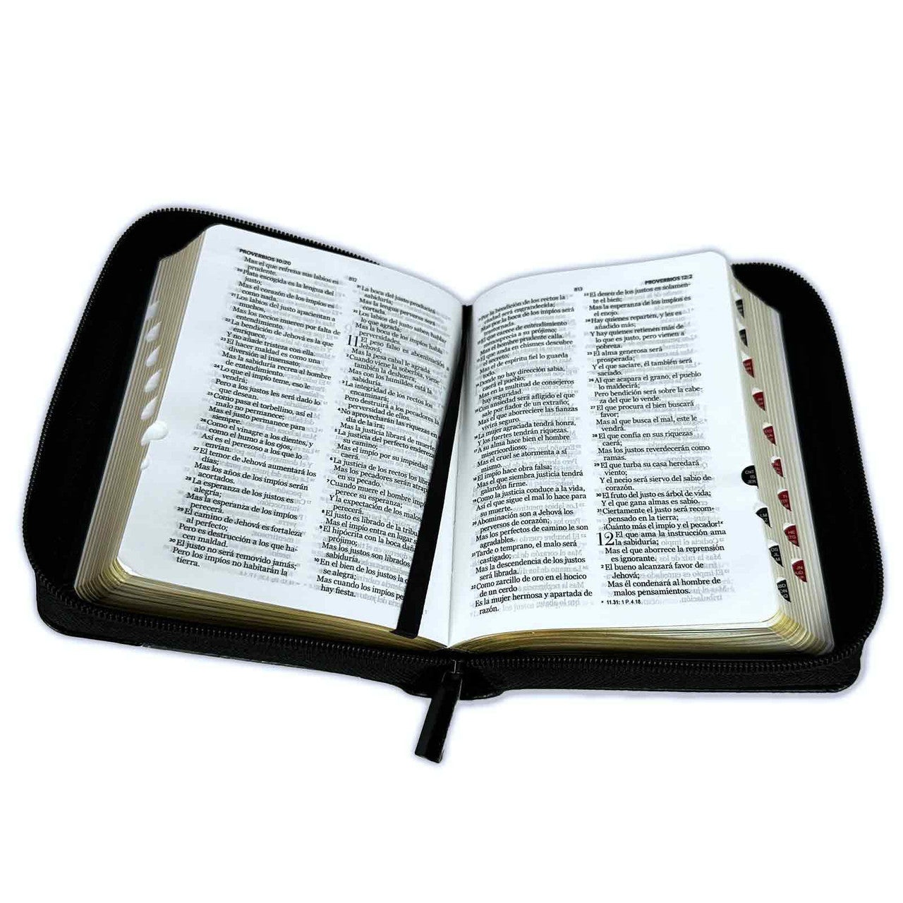 Pocket Sword Bible with RV1960 black imitation zipper with index - Hebrews 4:12