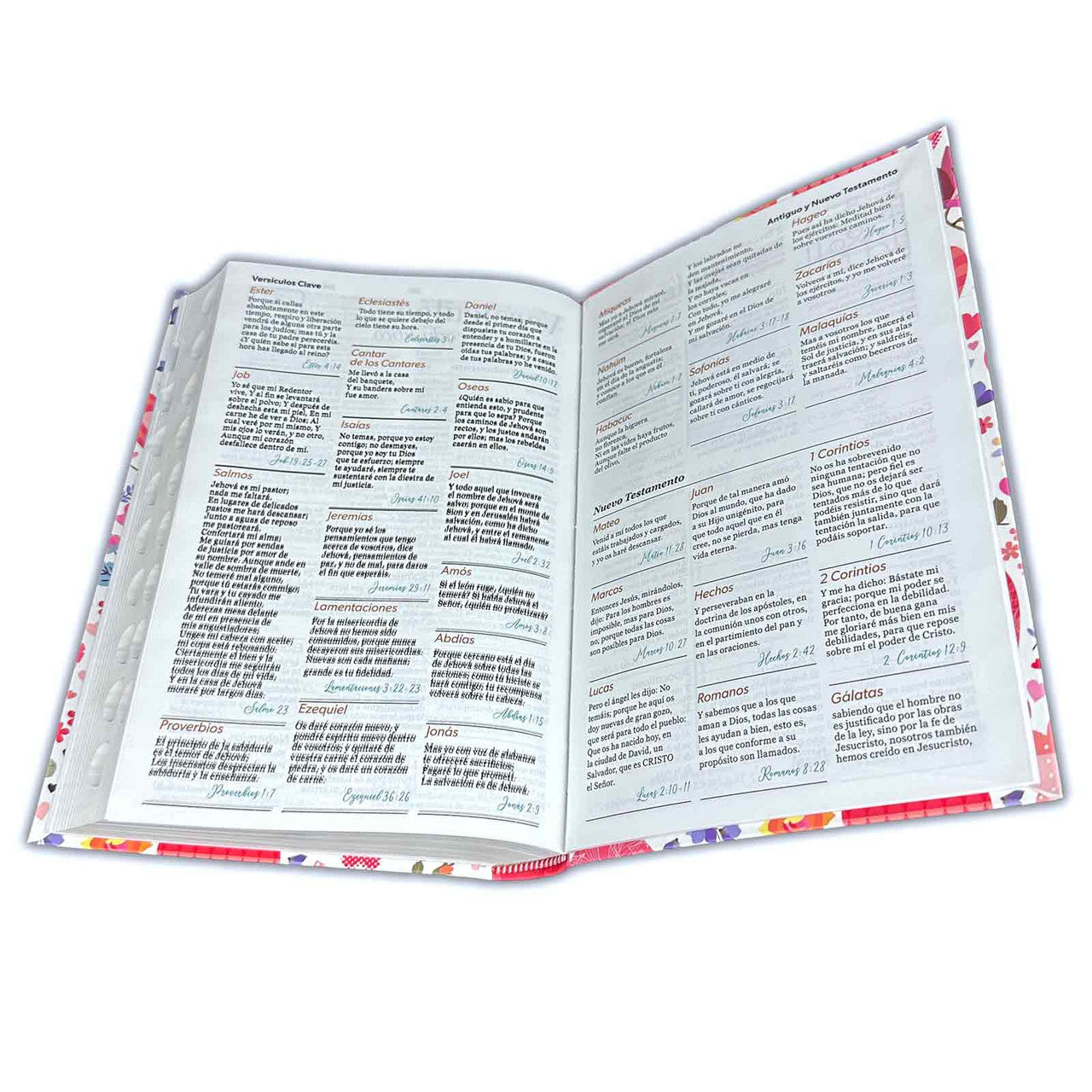 Biblia Letra Grande 12 puntos para Mujer RV1960 flexible rosa y corazones con índice