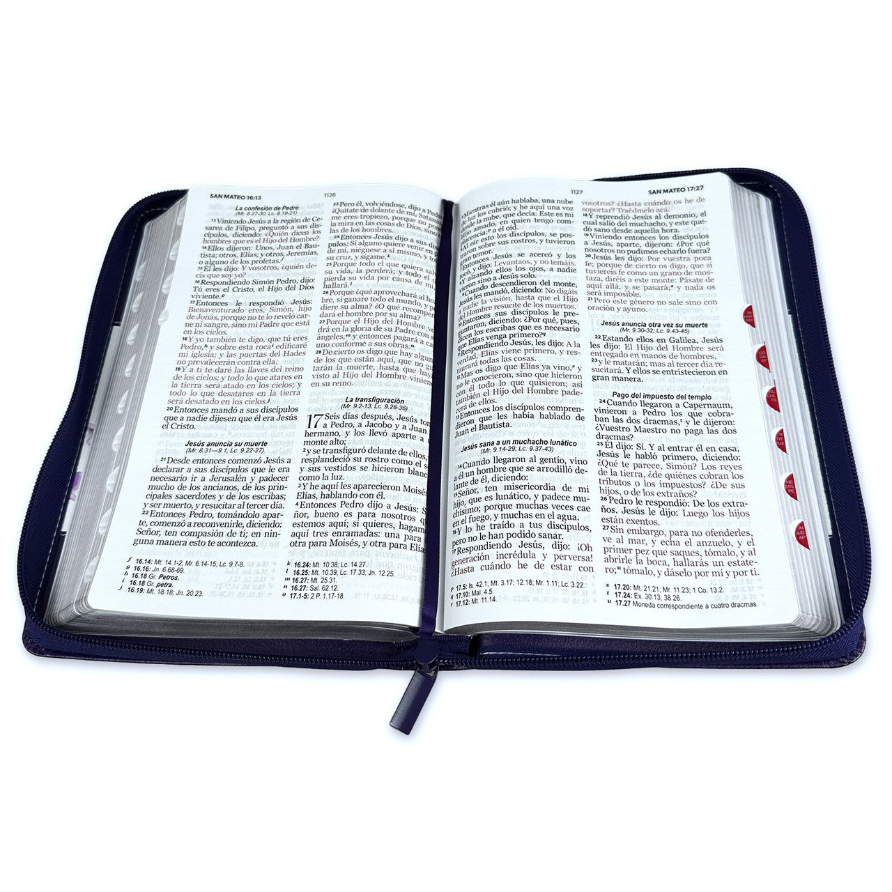 Bible with Large Print Closure 12 points RV1960 imitation. lilac and flowers with index