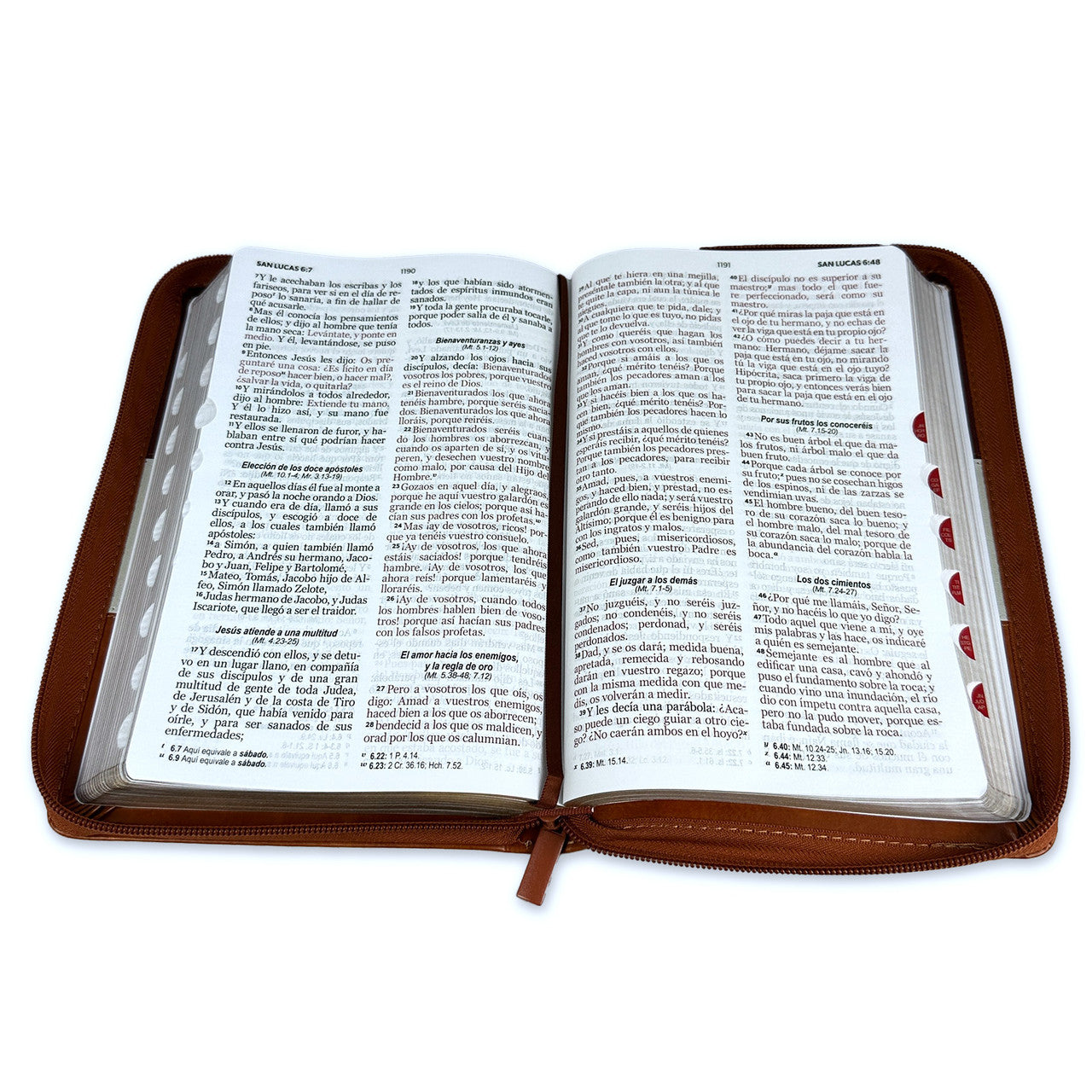 Large Print 12 point Zipper Bible RV1960 imitation brown and beige with index