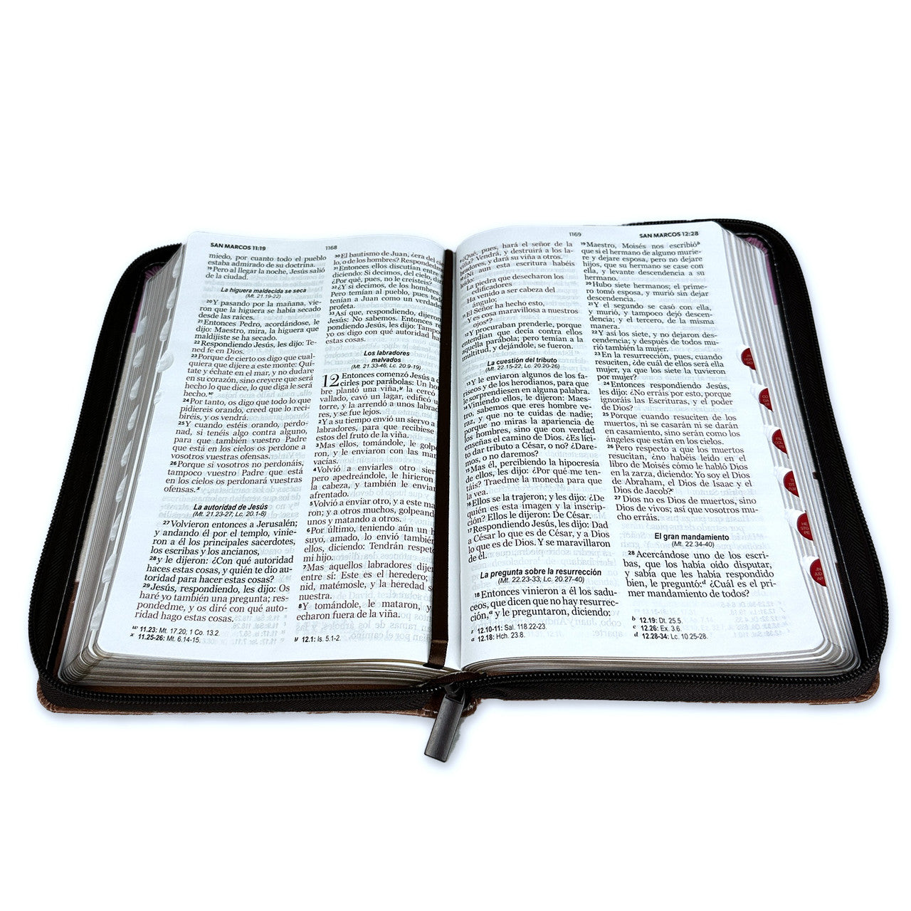 Bible with Large Print Closure 12 points RV1960 imitation. brown and pink floral with index - Me and my house